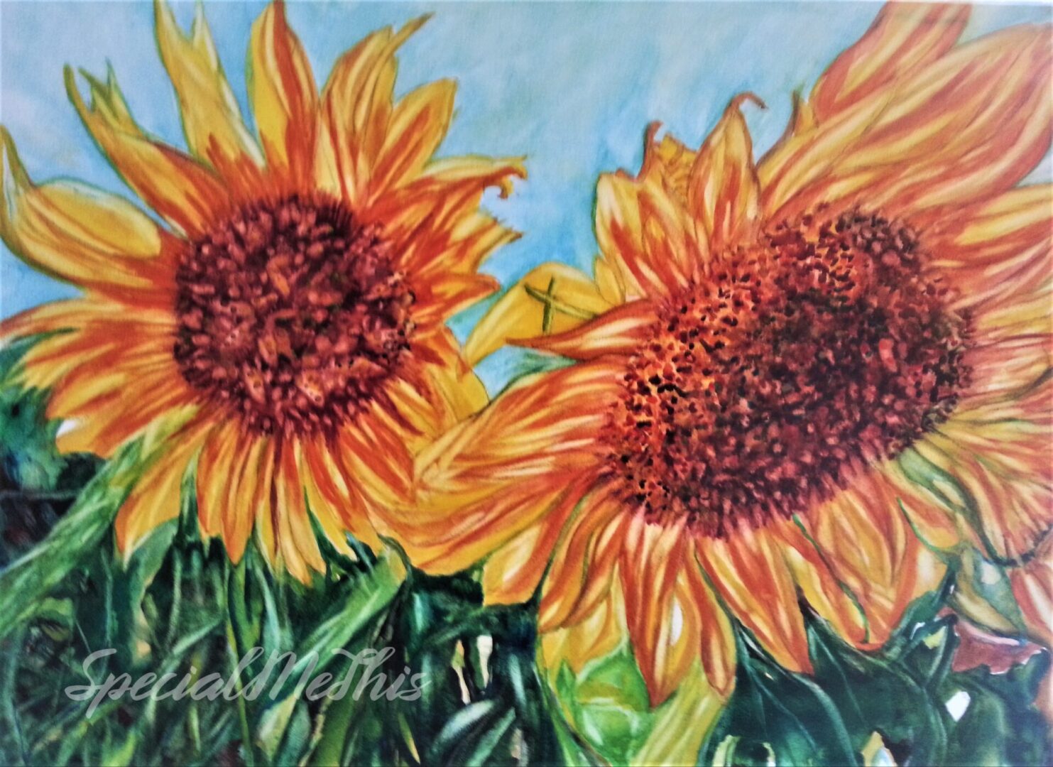 Two sunflowers in a field with blue sky